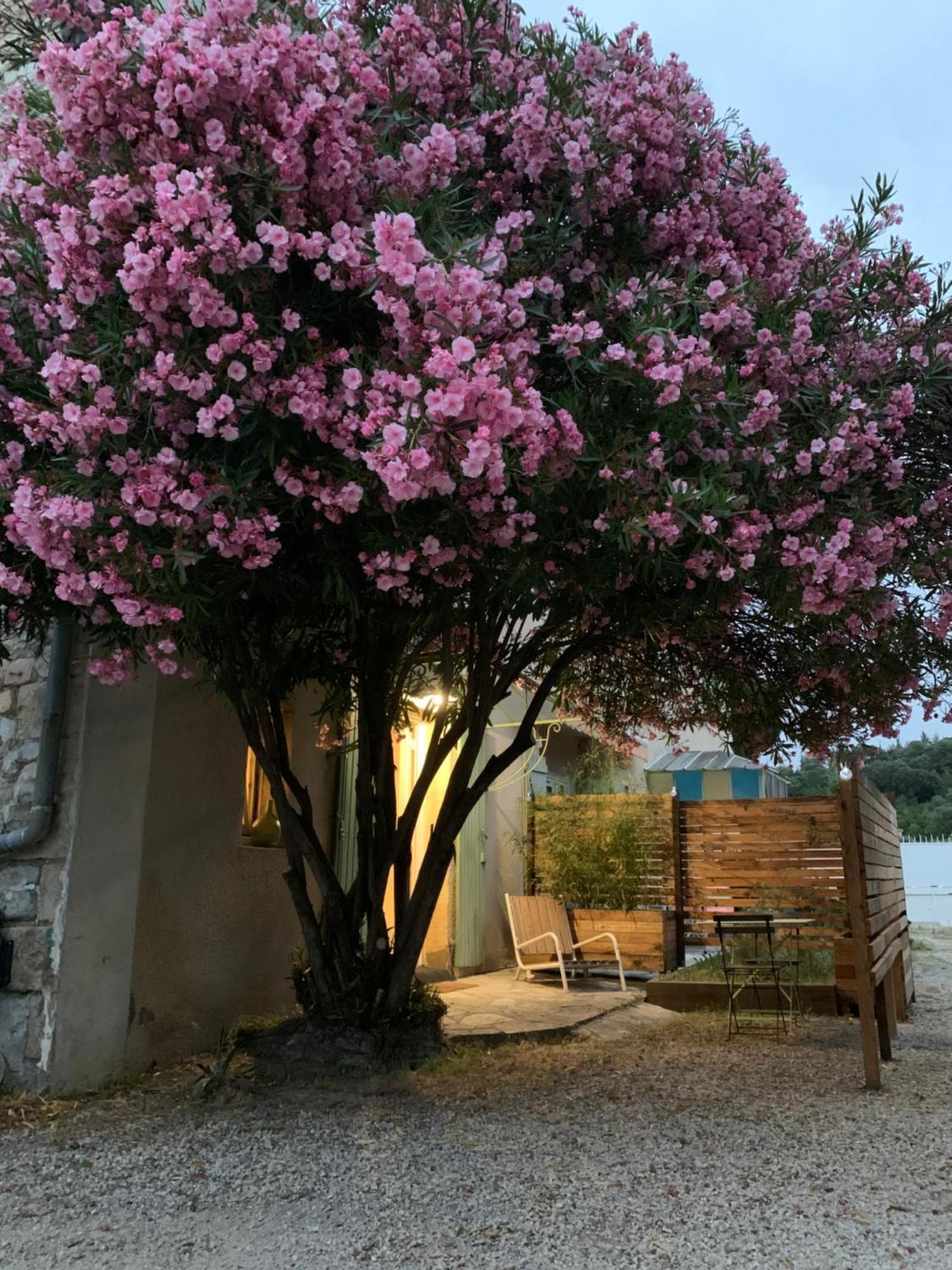 Apartmán Studio Moderne Cozy Ribaute-les-Tavernes Exteriér fotografie